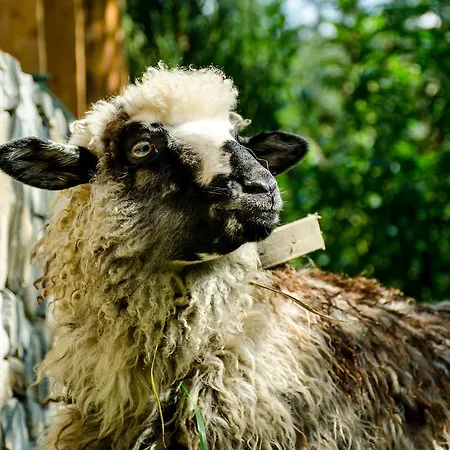 Gasthuis Ra Boekovel