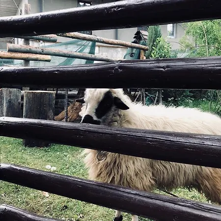 Ra Pensión Bukovel