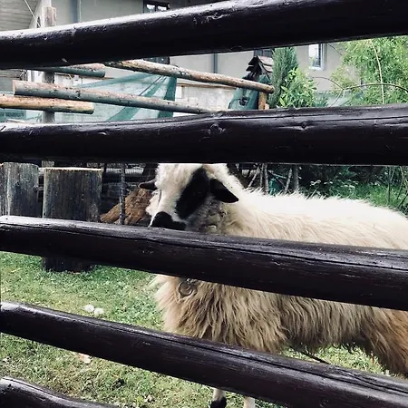 Ra Pensjonat Bukowel